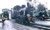 MGryf_tx73502_0800.JPG (75928 Byte)