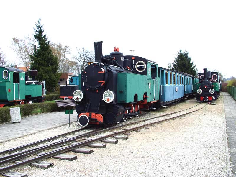 wen020