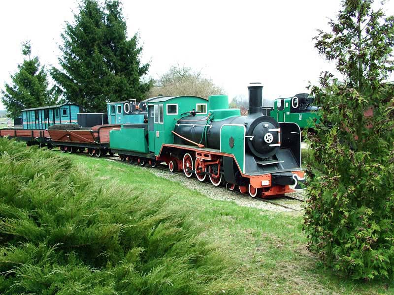 wen029