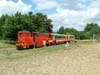 gniezno2008_0719_134329