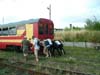 gniezno2008_0719_184305