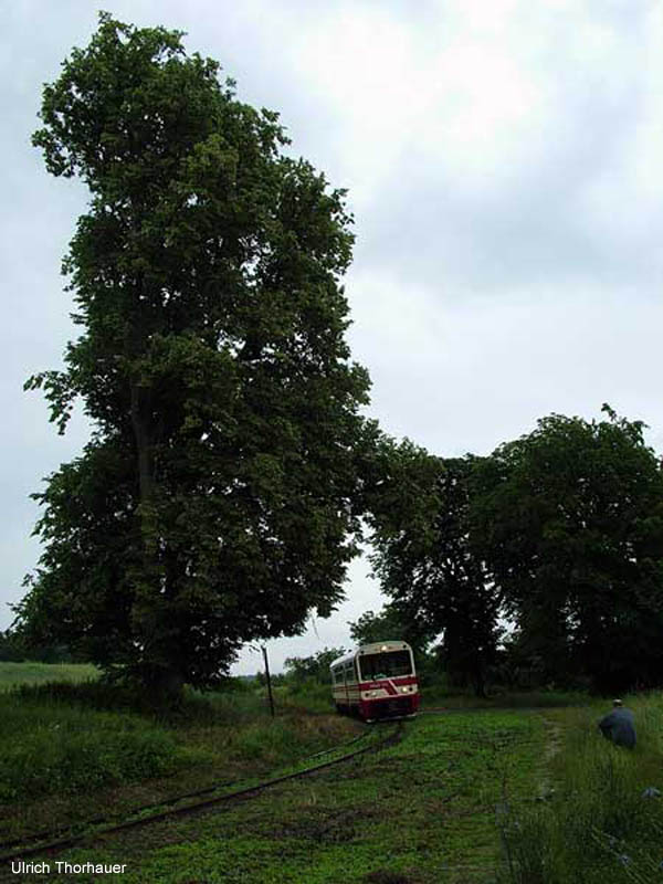 Gryfice2007_0630_10