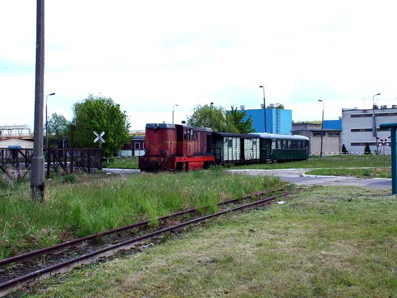 SF12