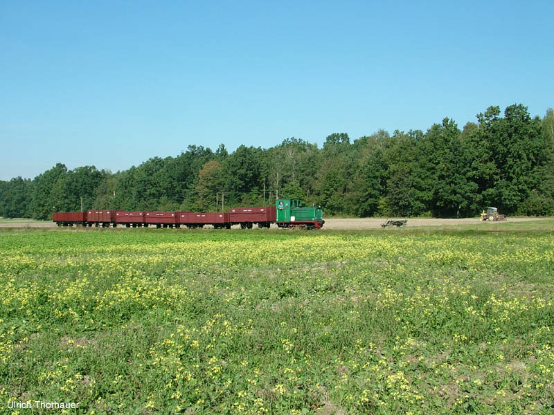 Rogow2007_0922_104728